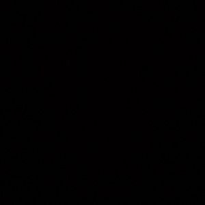 Meet your Posher, Ariana